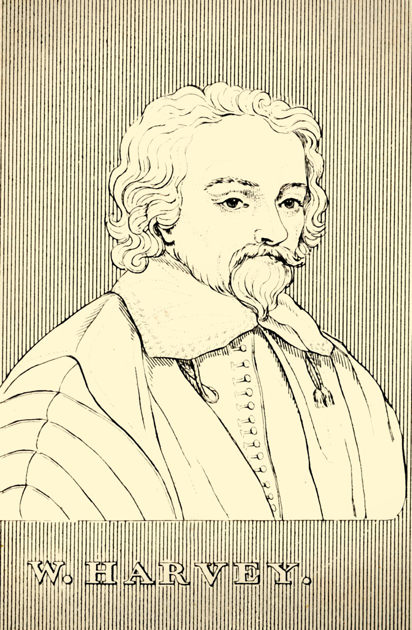 W. Harvey, 1578-1657, 1830. av Unbekannt