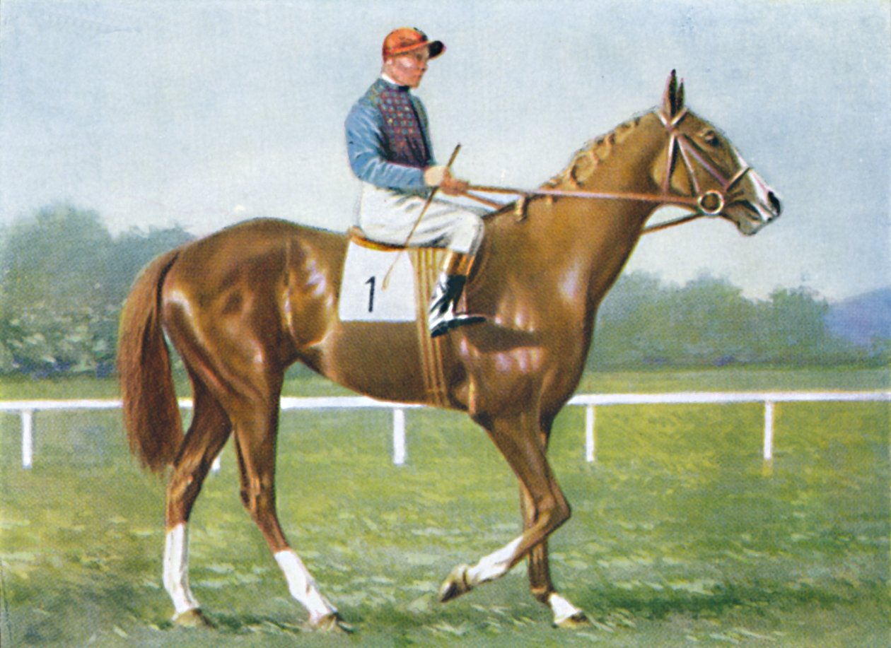 Waterbird, Jockey: E. Smith, 1939 av Unbekannt