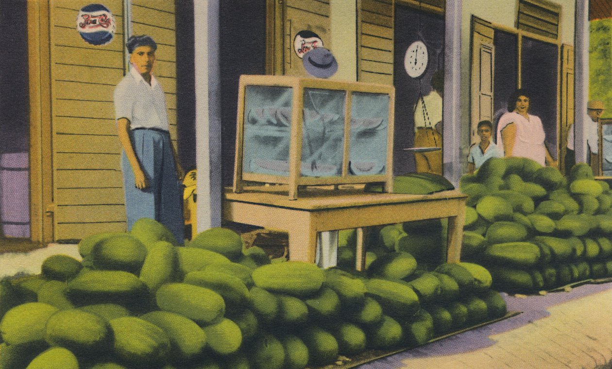 Vannmeloner til salgs, Trinidad, B.W.I., ca 1940-tallet. av Unbekannt