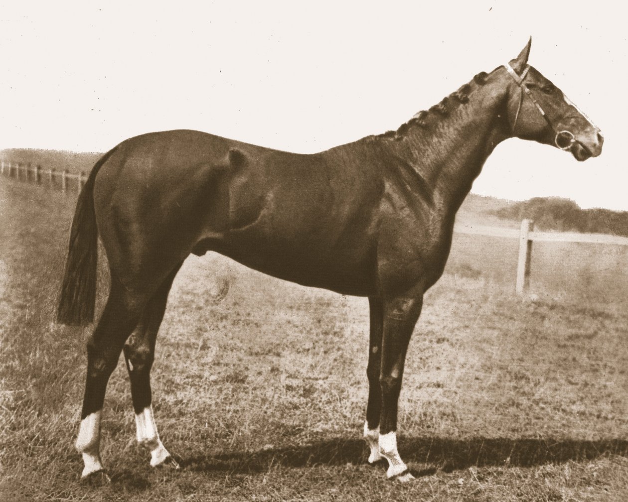 Weathercock, 1911. av Unbekannt