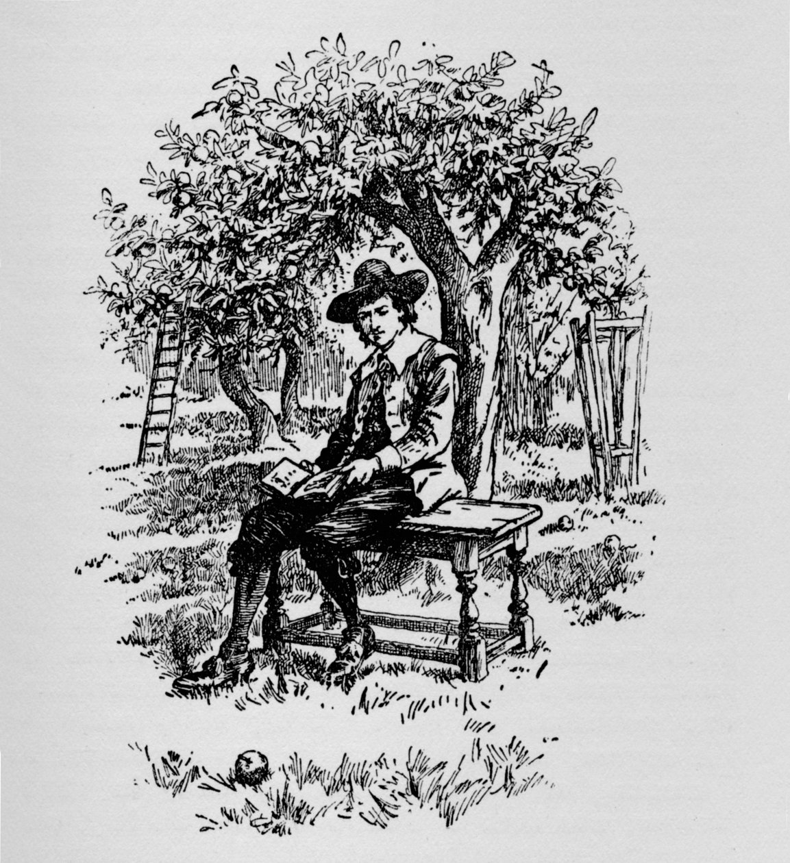 Hvorfor et eple faller, c1918 av Unbekannt