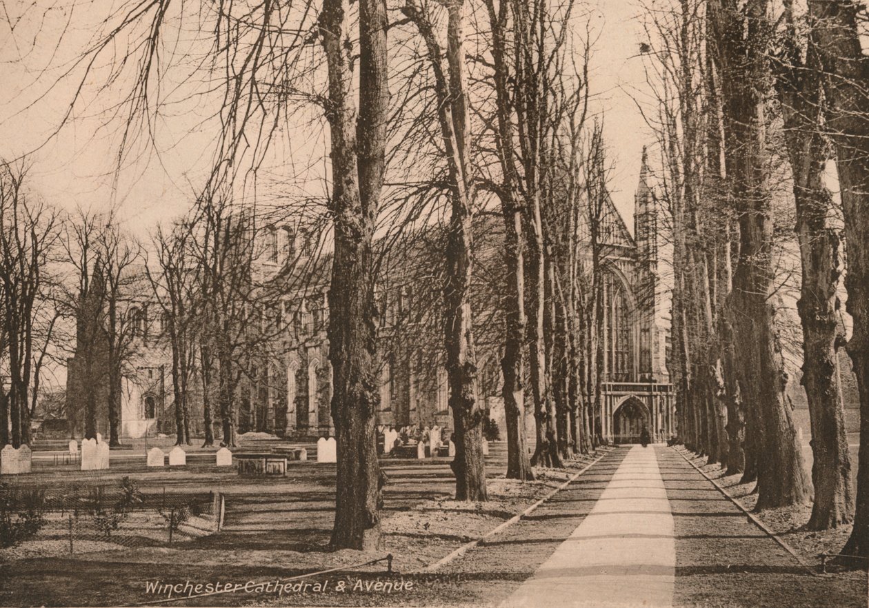 Winchester Cathedral and Avenue, Hampshire, tidlig på 1900-tallet. av Unbekannt