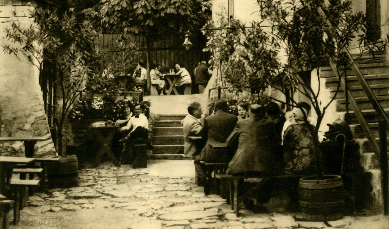Vingård i Grinzing, Wien, Østerrike, c1935. av Unbekannt