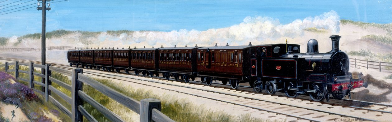 Wirral Railway-tog på vei til Birkenhead av Unbekannt