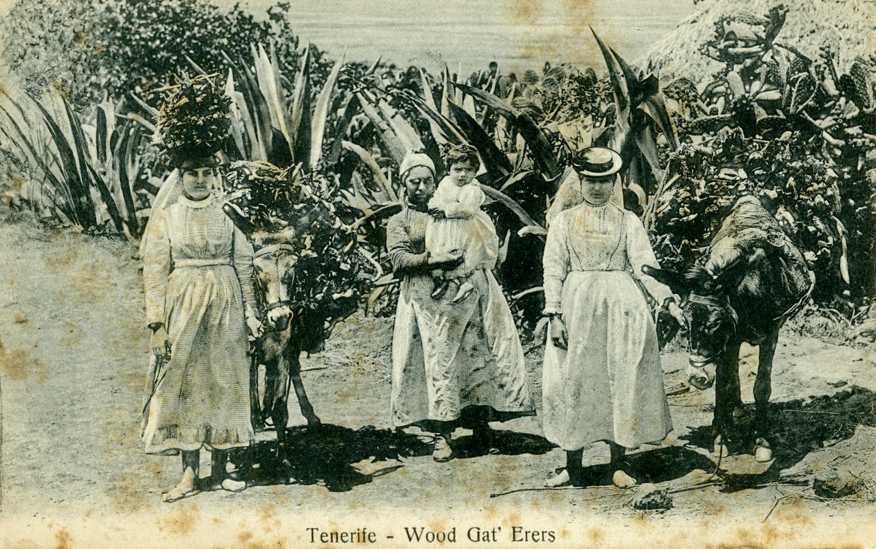 Treplukkere, Tenerife, Kanariøyene, tidlig på 1900-tallet av Unbekannt