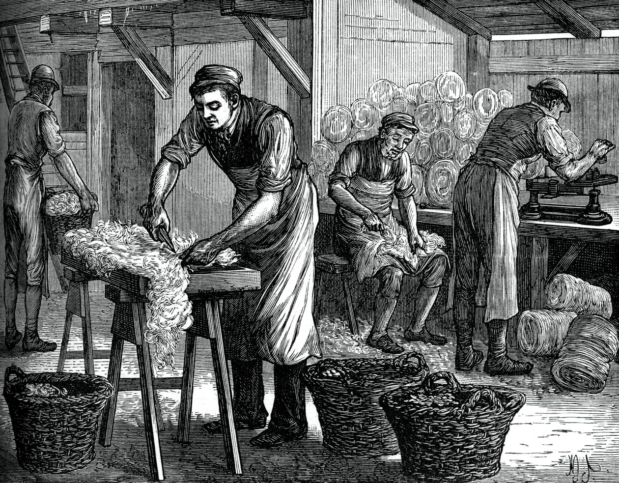 Ullsorterer, c1880 av Unbekannt
