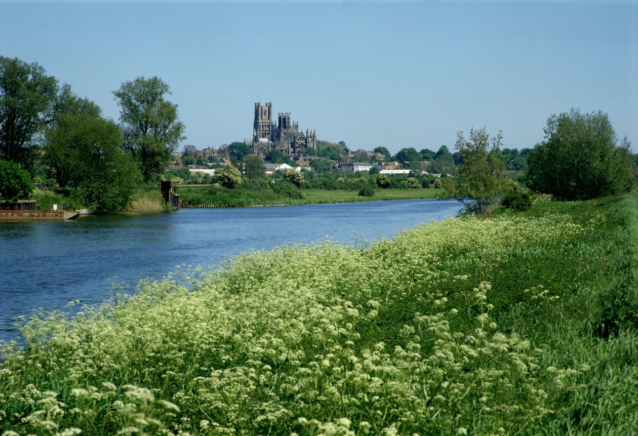 Ely-katedralen og elven Ouse av Unbekannt Unbekannt