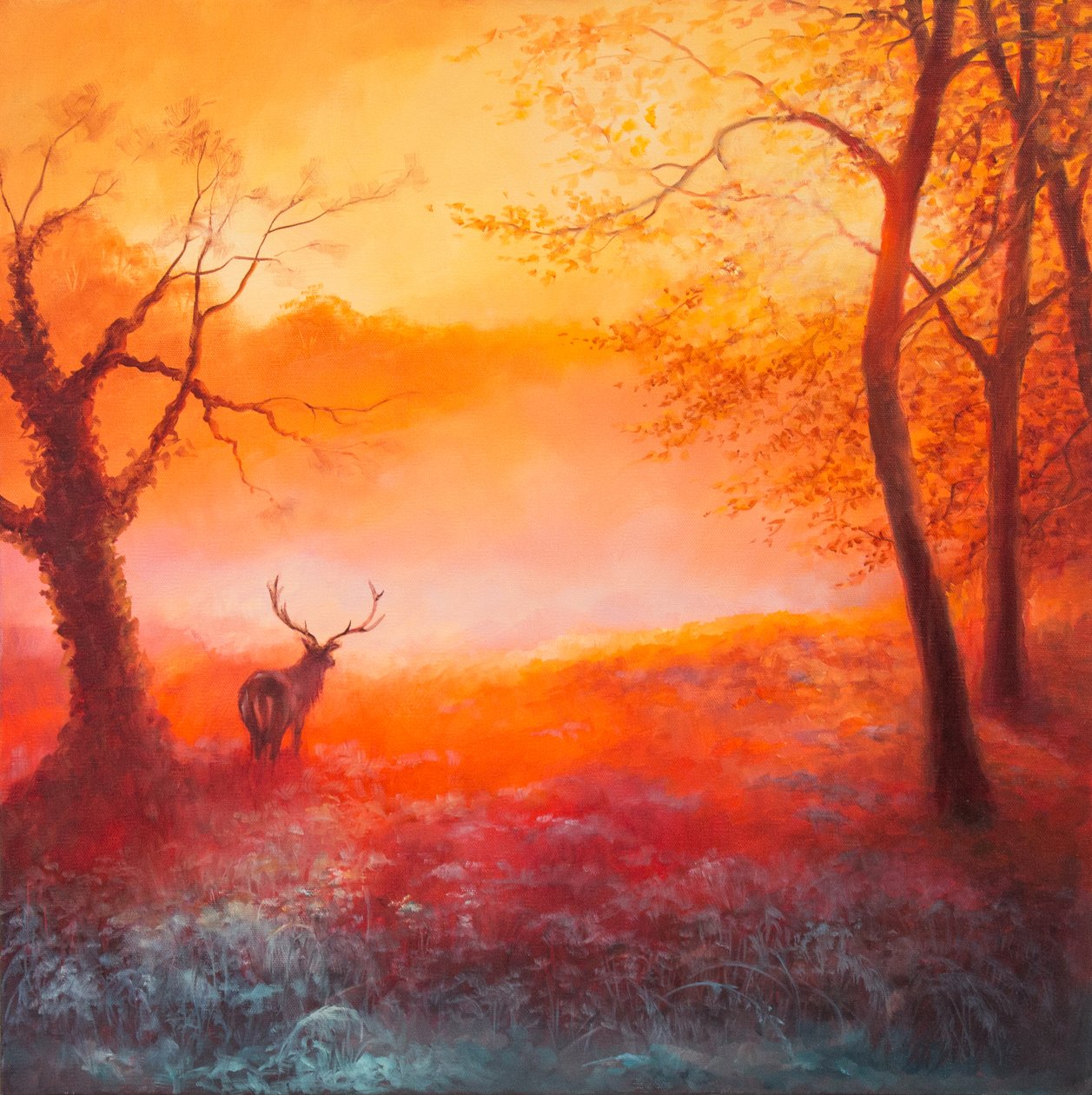 First Light, 2017, av Unbekannt Unbekannt