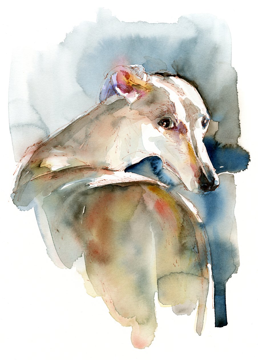 Greyhound Hope, 2016, av Unbekannt Unbekannt