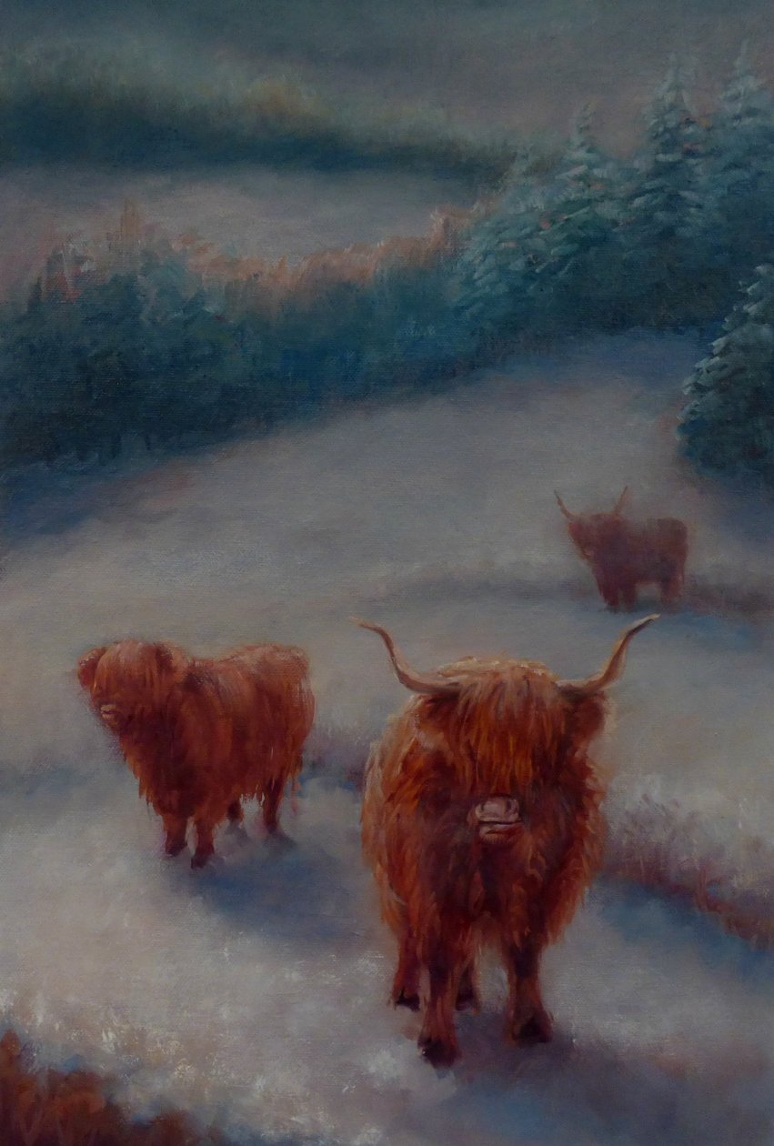 Highland Cattle, 2018, av Unbekannt Unbekannt
