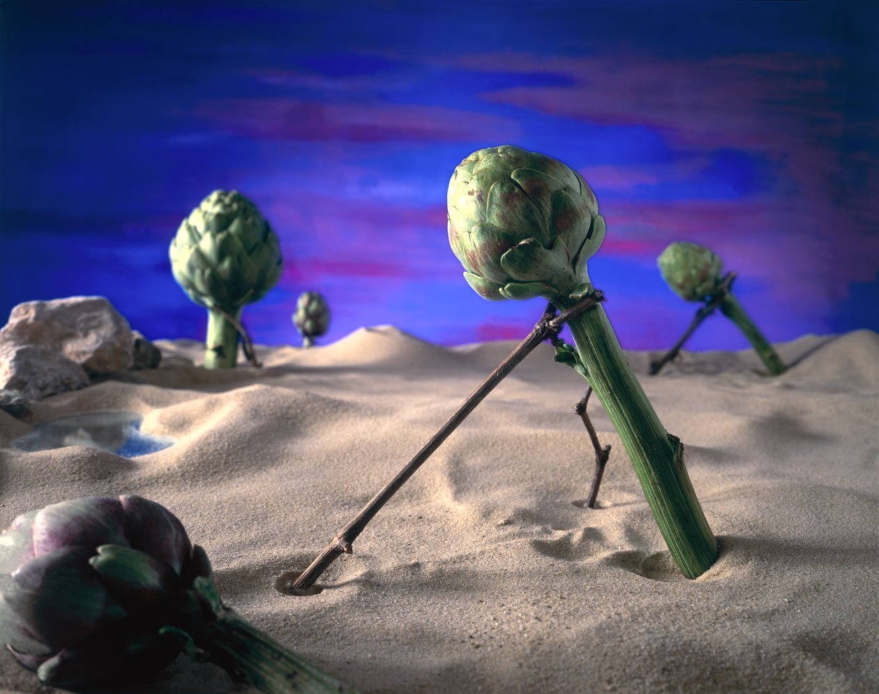 Art-ichoke (Dali) 1996 (bilde) av Unbekannter Künstler