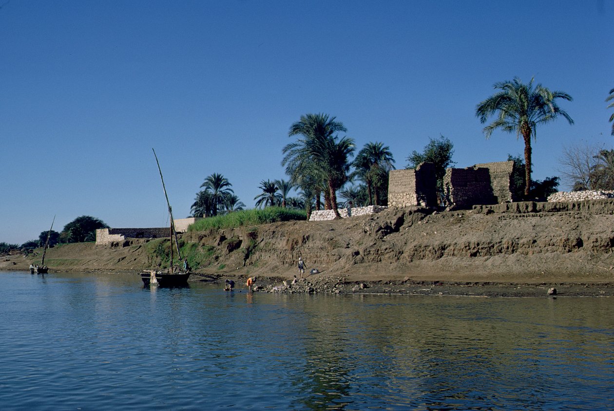 Bank of the Nile (bilde) av Unbekannt