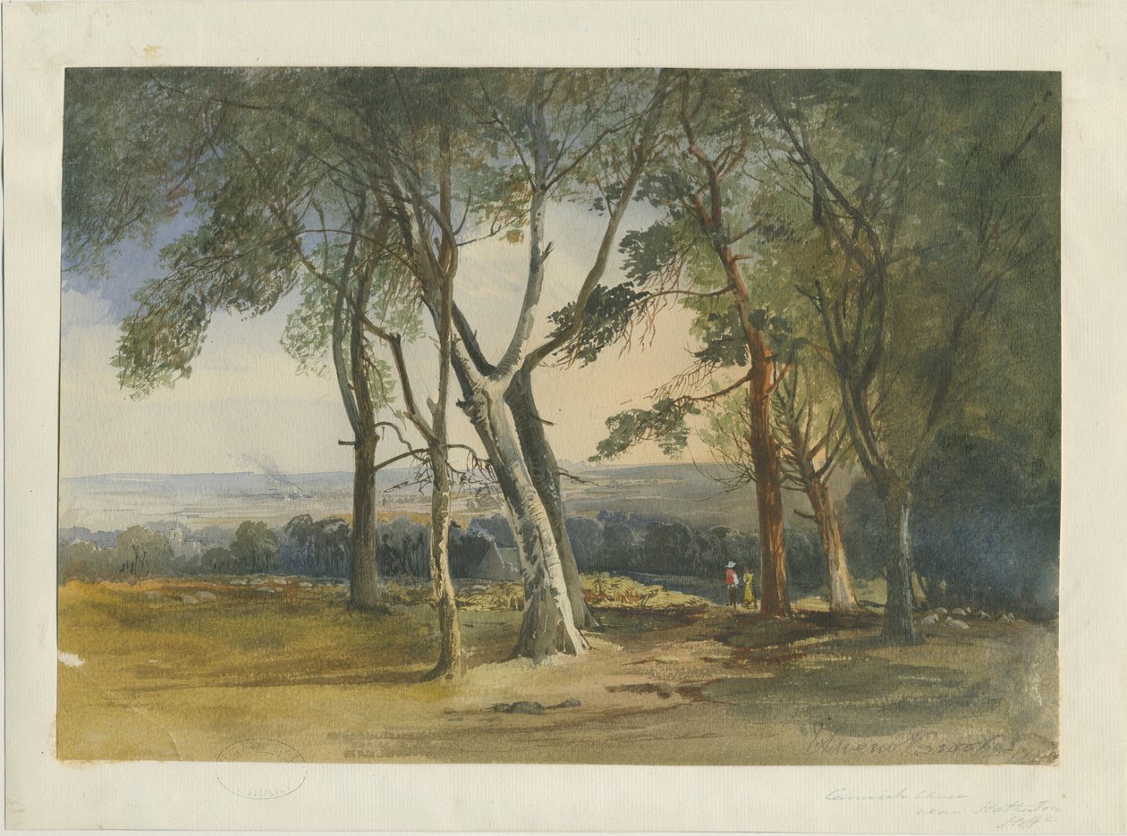 Cannock Chase: vannfargemaleri, 1848 av Unbekannt