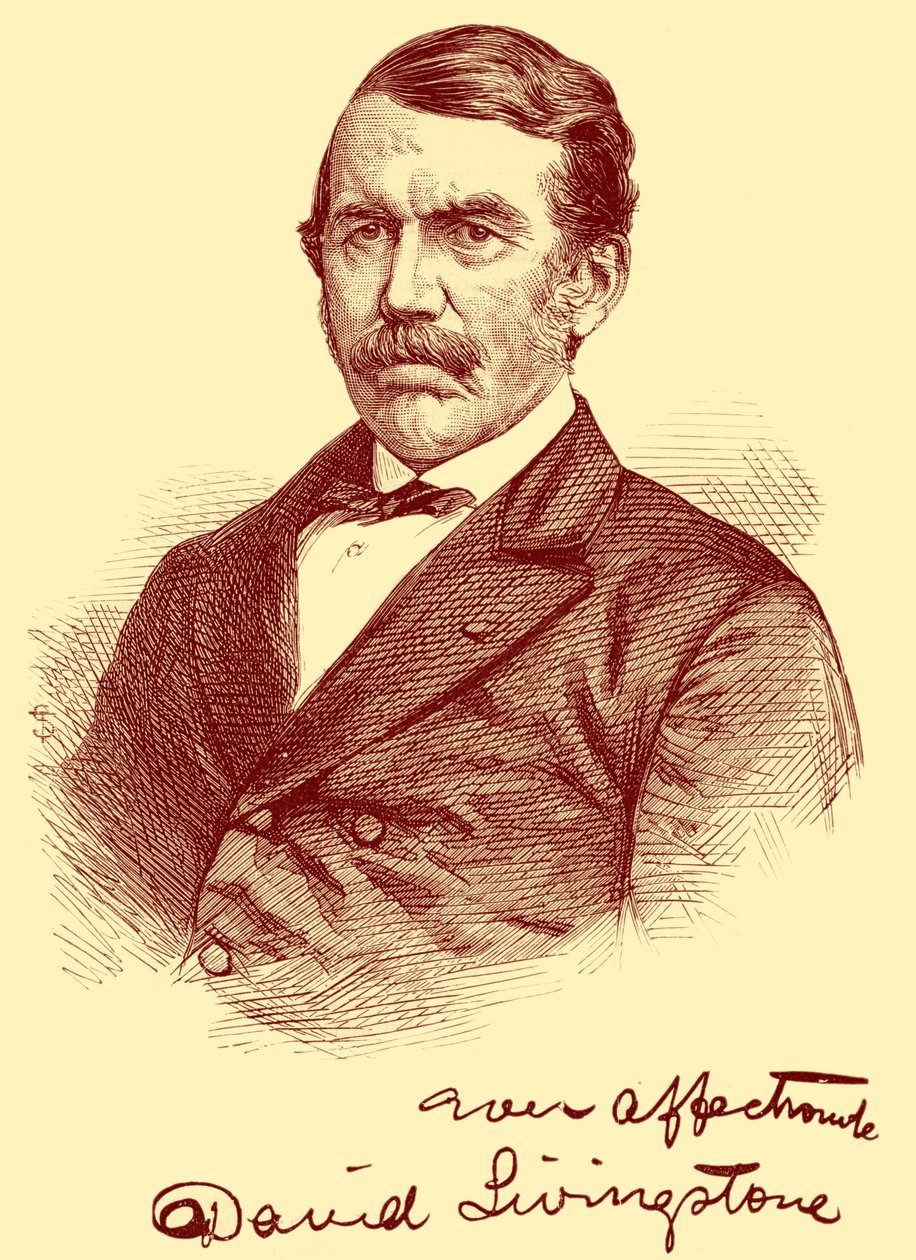 David Livingstone av Unbekannter Künstler