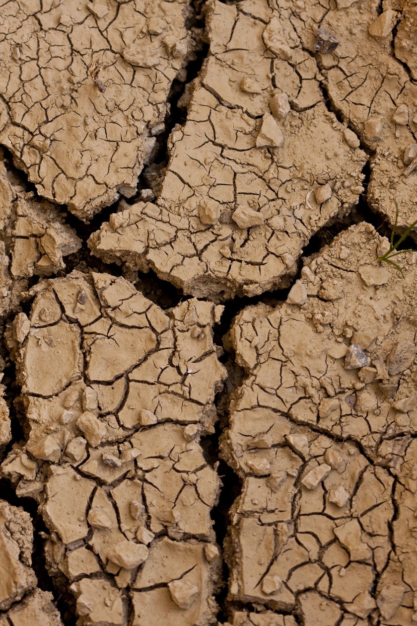 Dry II (bilde) av Unbekannter Künstler