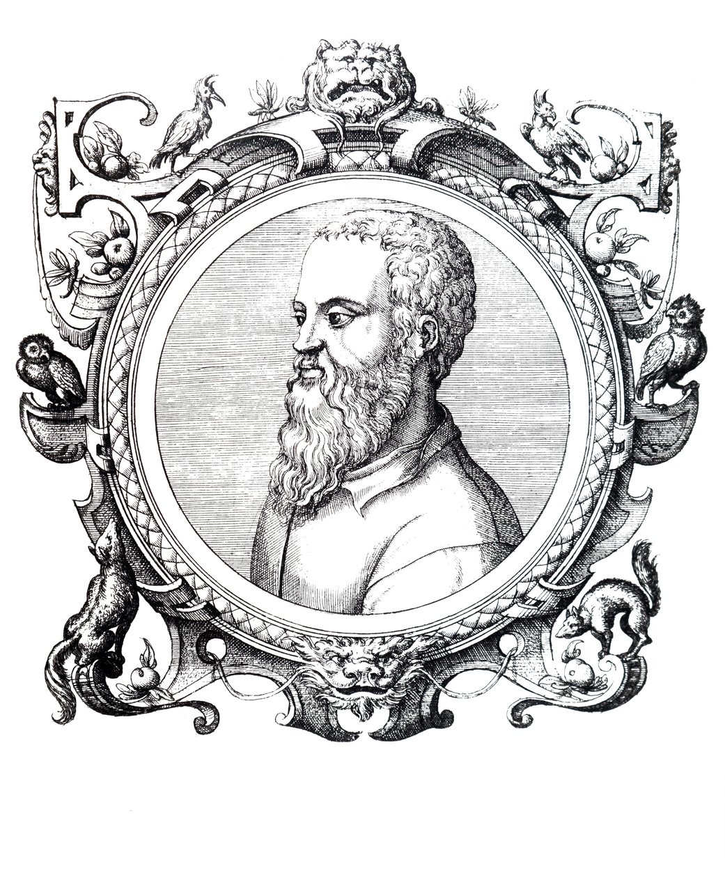 Guillaume Rondelet. av Unbekannt