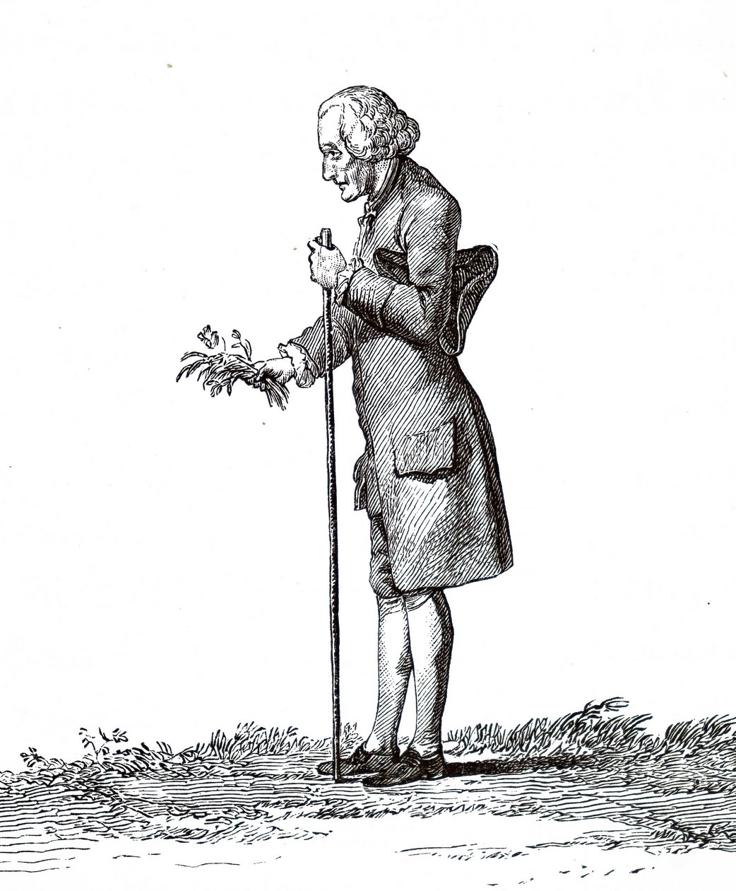 Jean-Jacques Rousseau. av Unbekannt