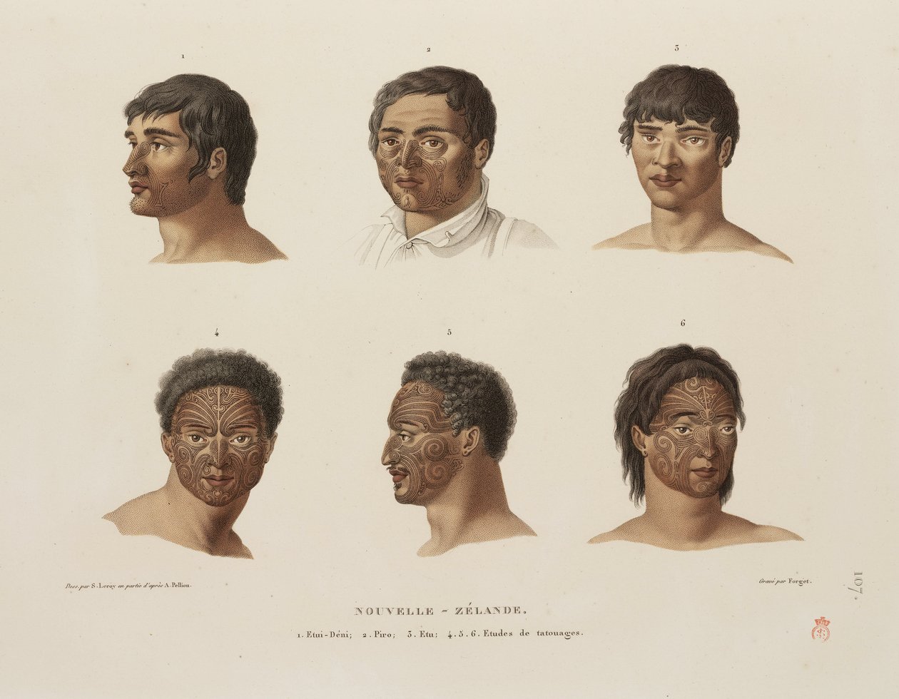 Maori-tatoveringer av Unbekannt