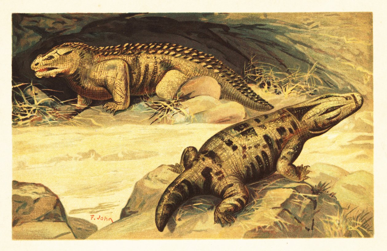 Mastodonsaurus og Pareiasaurus.1908 (litografi) av Unbekannter Künstler