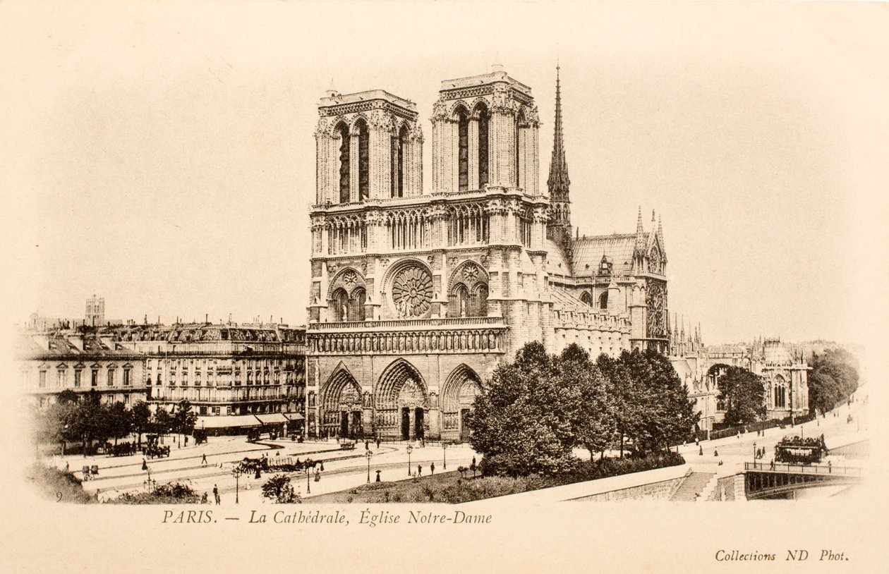 Postkort / Notre Dame / Paris / Seine / Ile de France / Frankrike av William M. Timlin