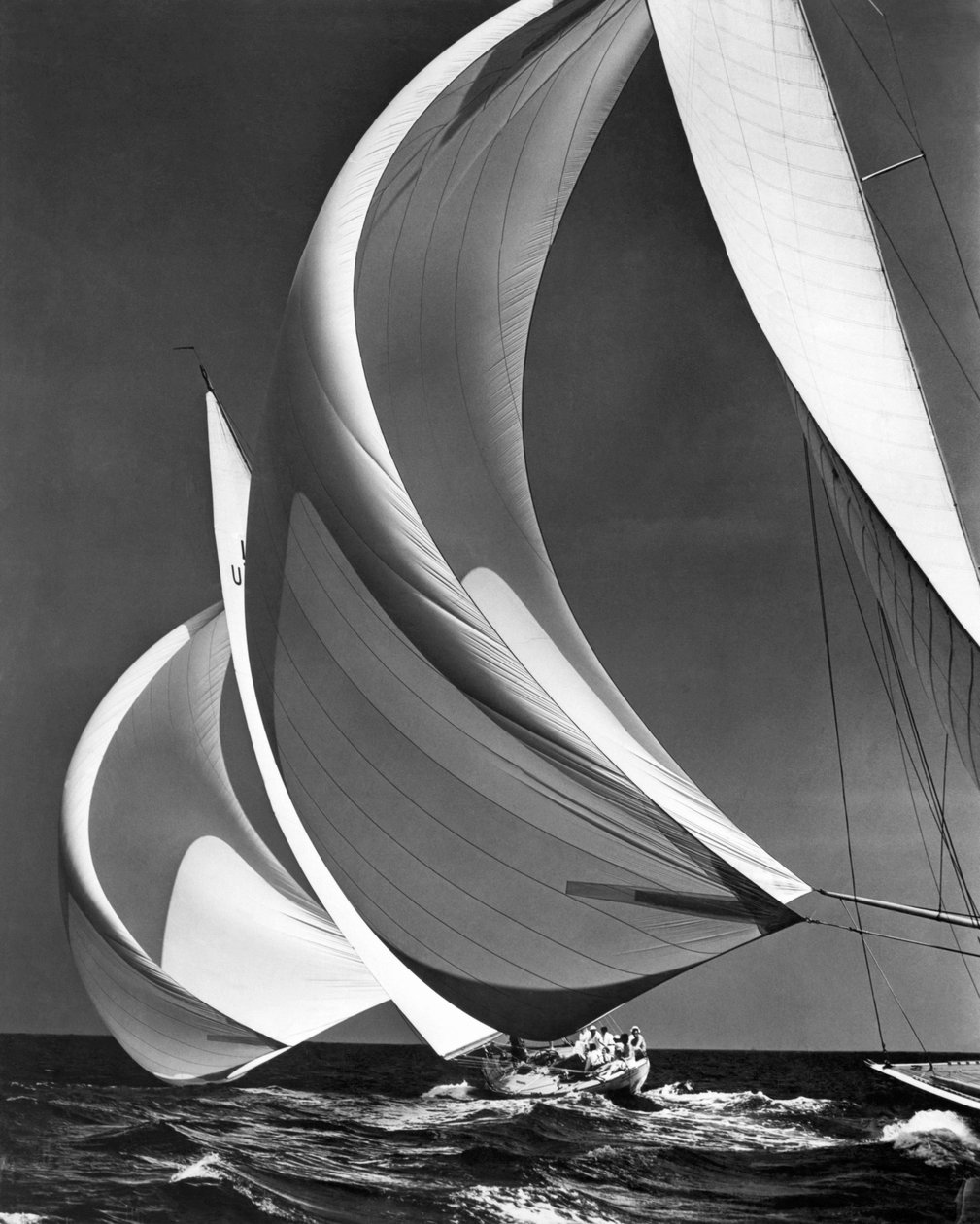 Spinakers On Racing Sailboats (s/hvitt bilde) av Unbekannter Künstler