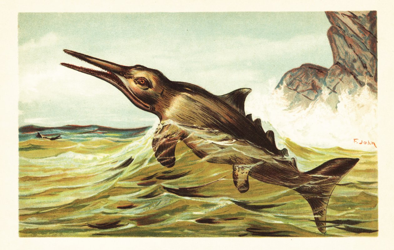 Stenopterygius quadriscissus, utdødd ichthyosaur.1908 (litografi) av Unbekannter Künstler