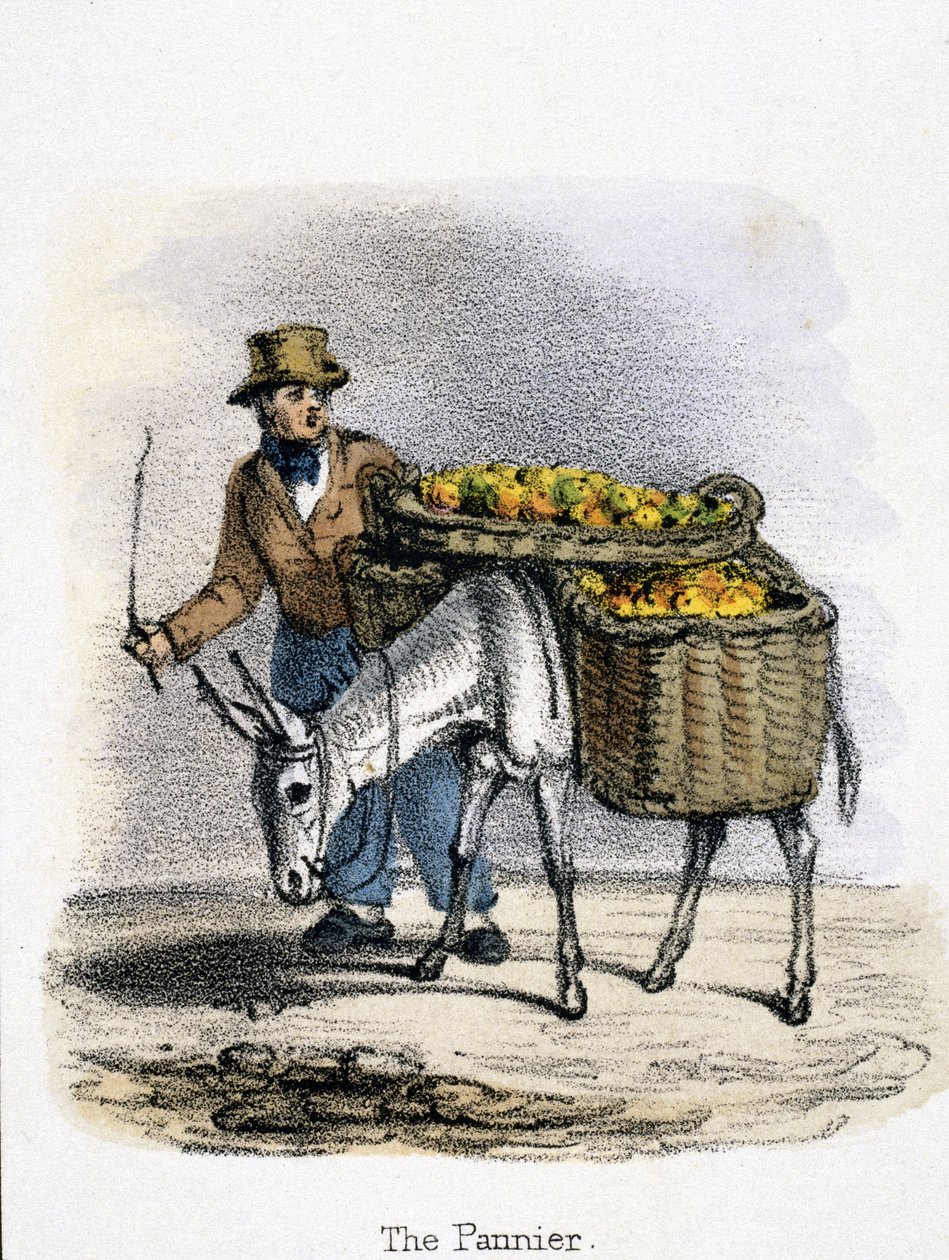 The Pannier