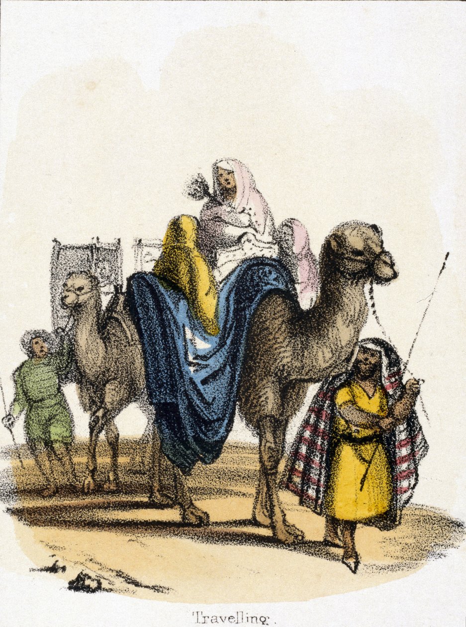 Jahangir, 17th century.    1206396   no       norwegian Successfully Translated  Original: Le Charge d Translat: Le Charge d 1334293 no norwegian Successfully Translated Original: Horse with Head Lowered, 1880searly 1890s. Translat: Keizerskroon, orchidee  av Unbekannter Künstler