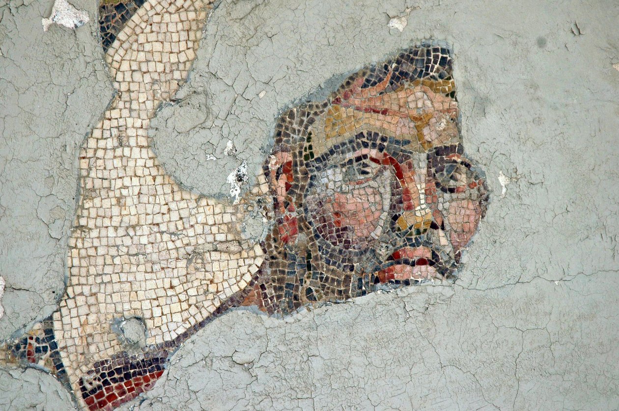 Two Athletes Mosaic, fra Samandagi, Tyrkia av Unbekannt