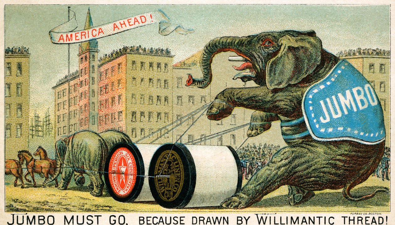 Willimantic Thread - annonse fra slutten av 1800-tallet av Unbekannter Künstler