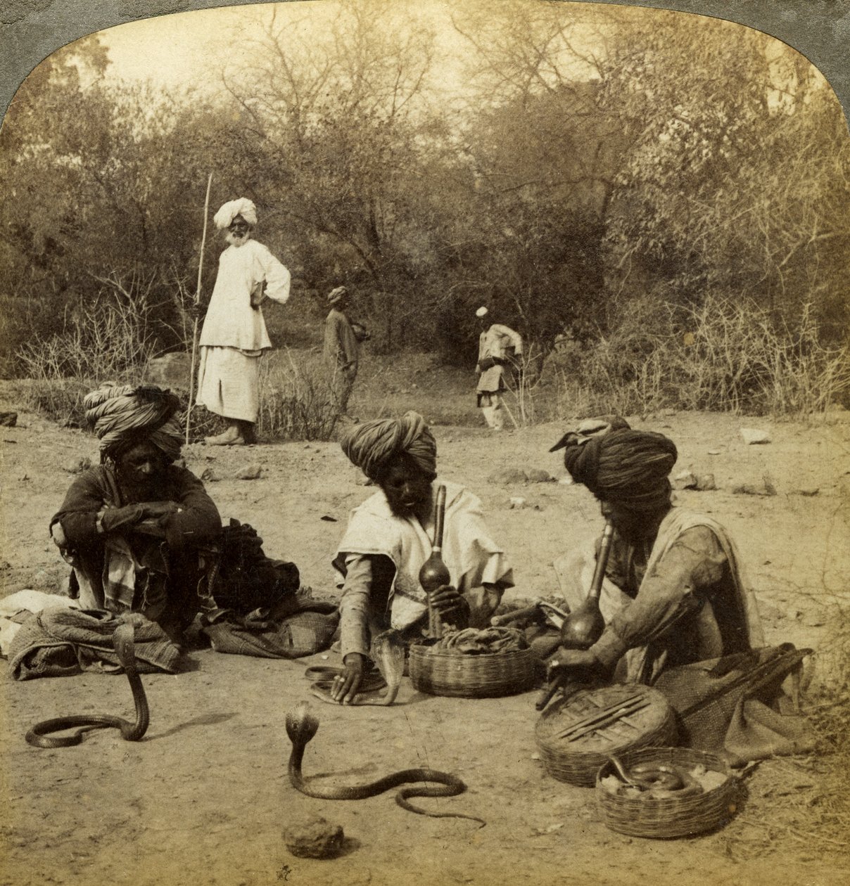 Slangejarmere, Delhi, India. av Underwood and Underwood