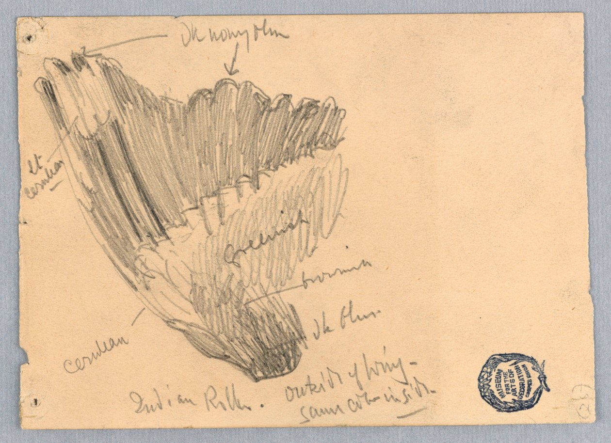Tegning av Unknown