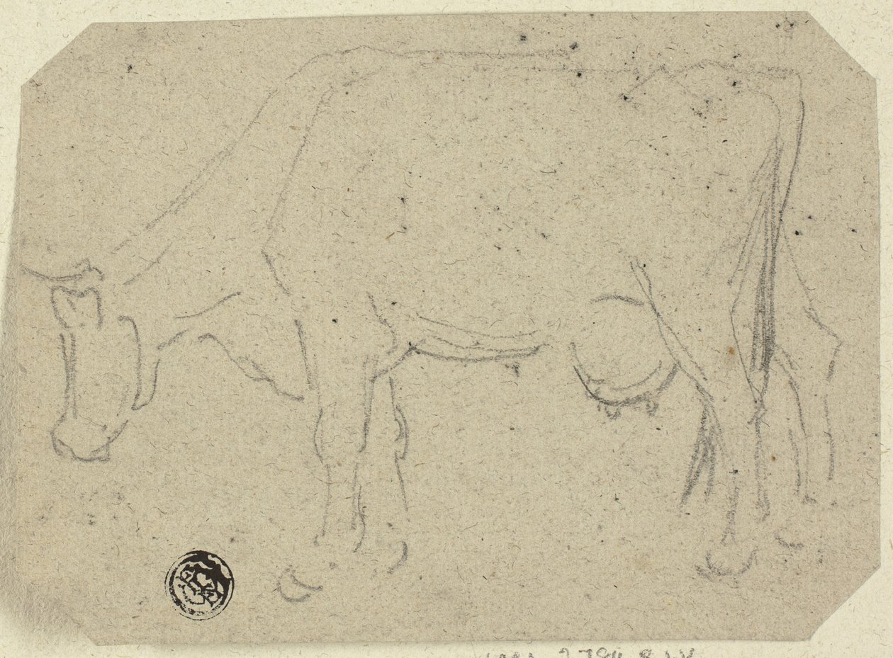 Kubeite (recto); Leder for et dyr (verso) av Unknown