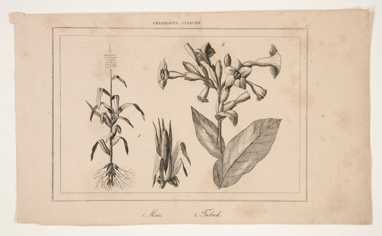 Uten tittel (Study of American Agriculture) av Unknown