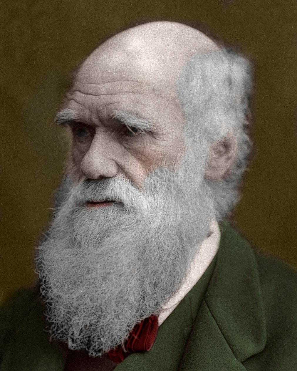 Portrett av Charles Darwin av Unknown artist