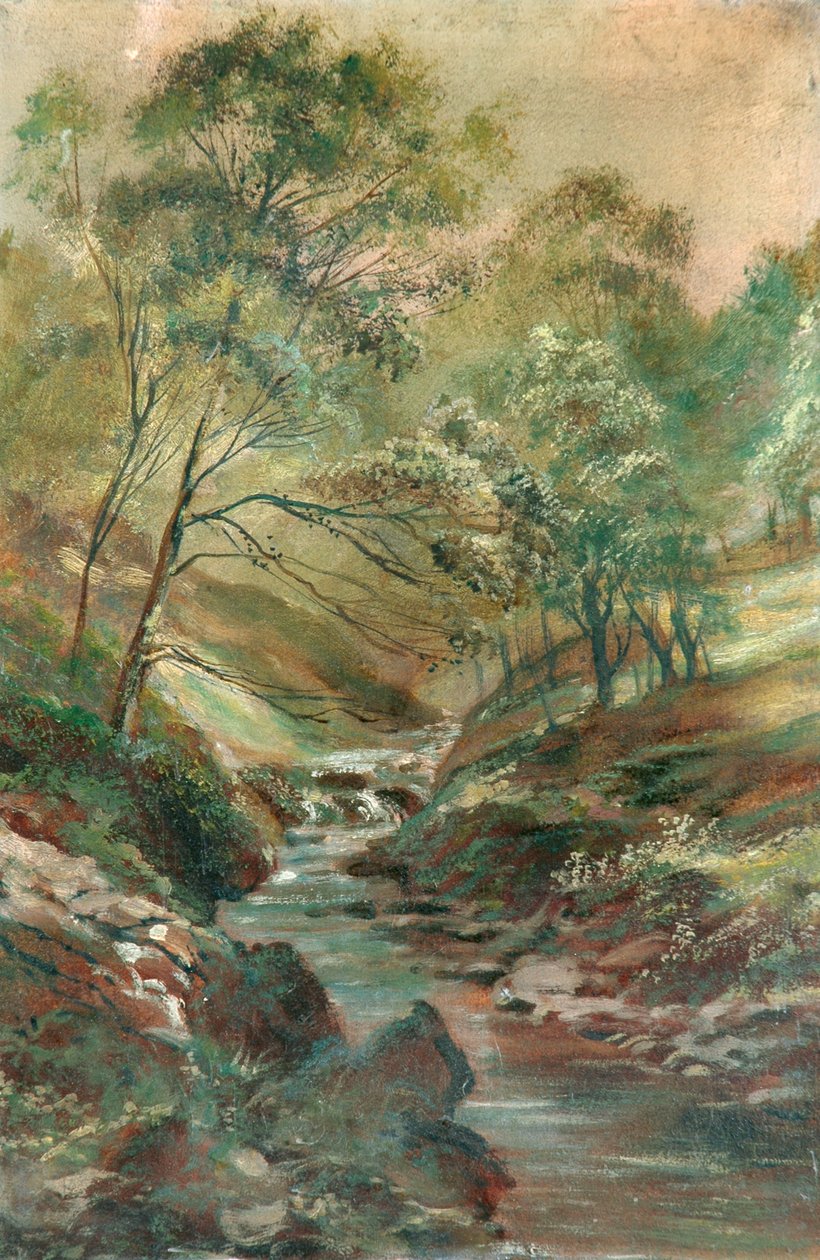 Strøm gjennom en skog av Unknown