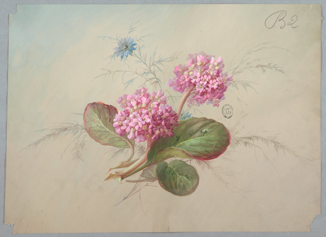 Design for tapet og tekstil: Blomster av Unknown artist