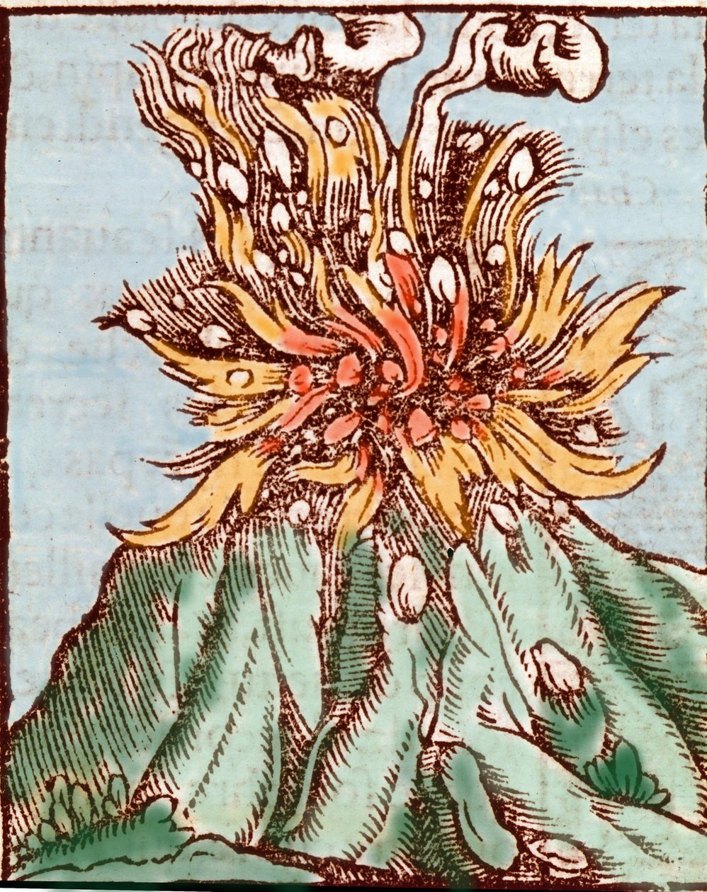 Utbrudd av en vulkan. 1500-talls gravering. av Unknown artist
