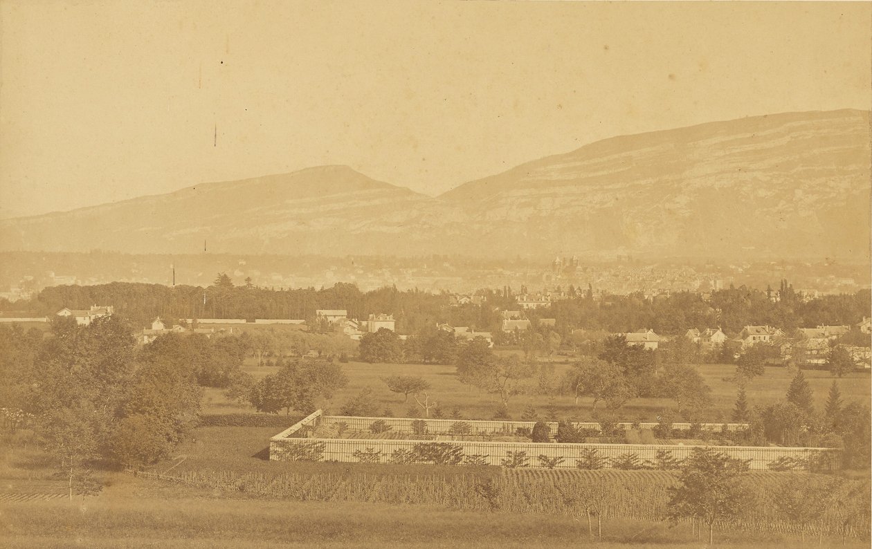  av V. Muzet