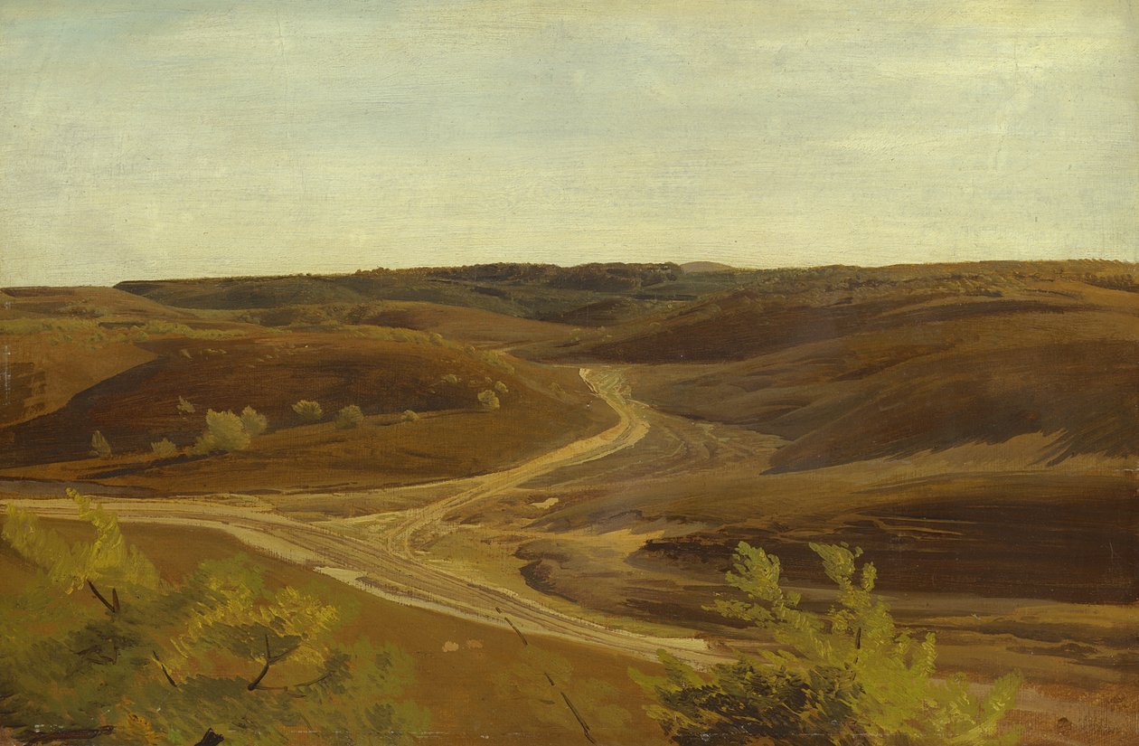 The Moorland nær Ehestorf, 1868 (olje på papir om bord) av Valentin Ruths