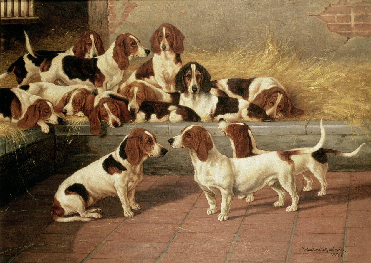 Basset Hounds in a Kennel, 1894 av Valentine Thomas Garland