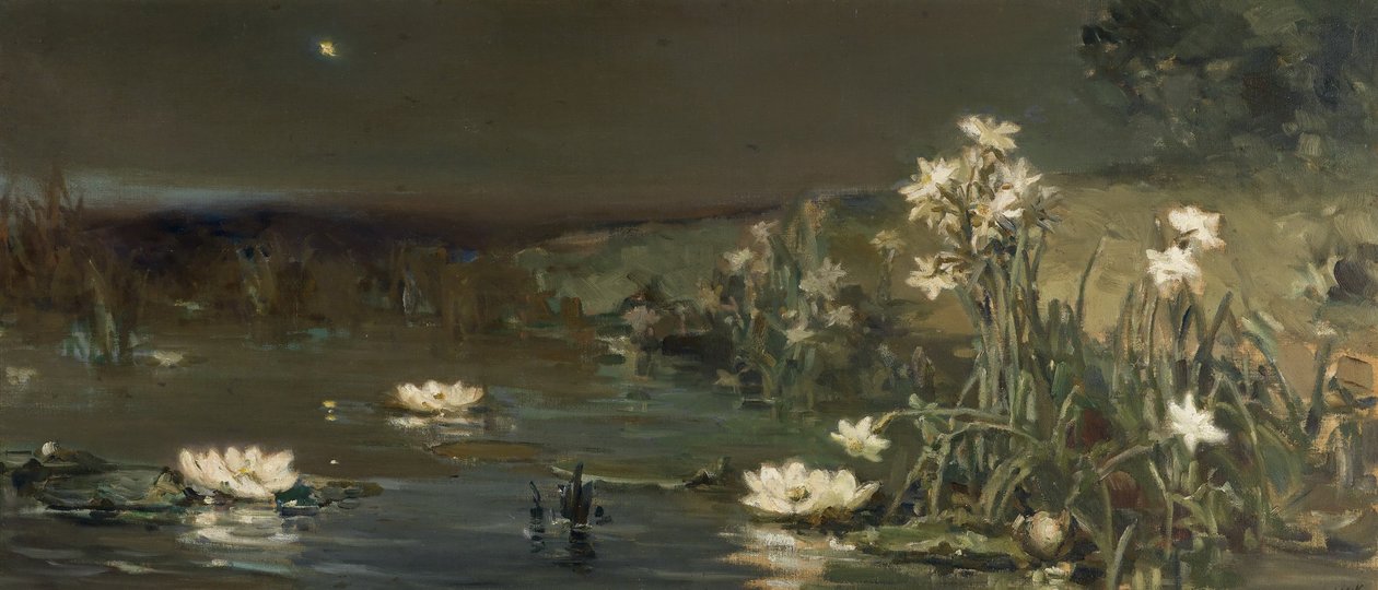 Stjerne i natten av Vasilii Kotarbinsky