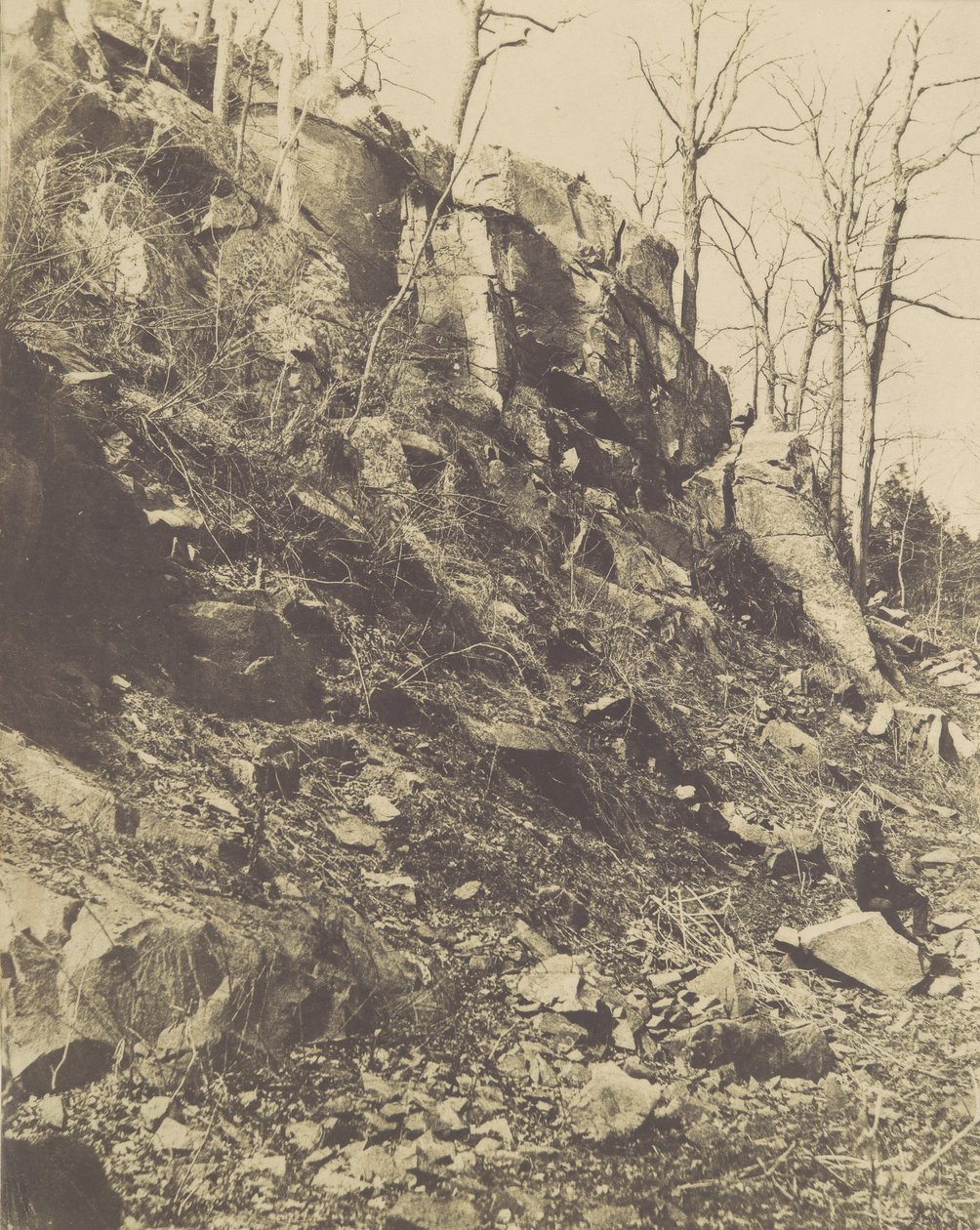 [Rocky Hillside], 1850-tallet. av Victor Prevost