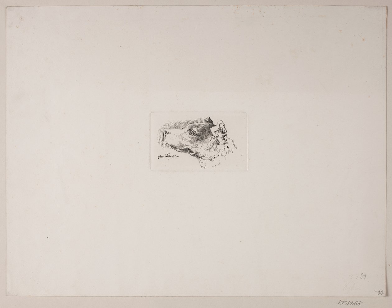 Hundehode av Vilhelm Kyhn