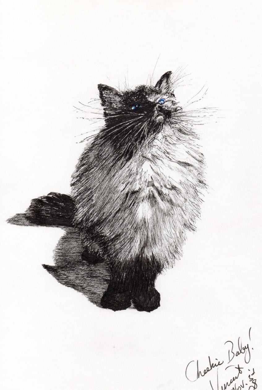 cheekie baby, 2008, (blekk på papir) av Vincent Alexander Booth
