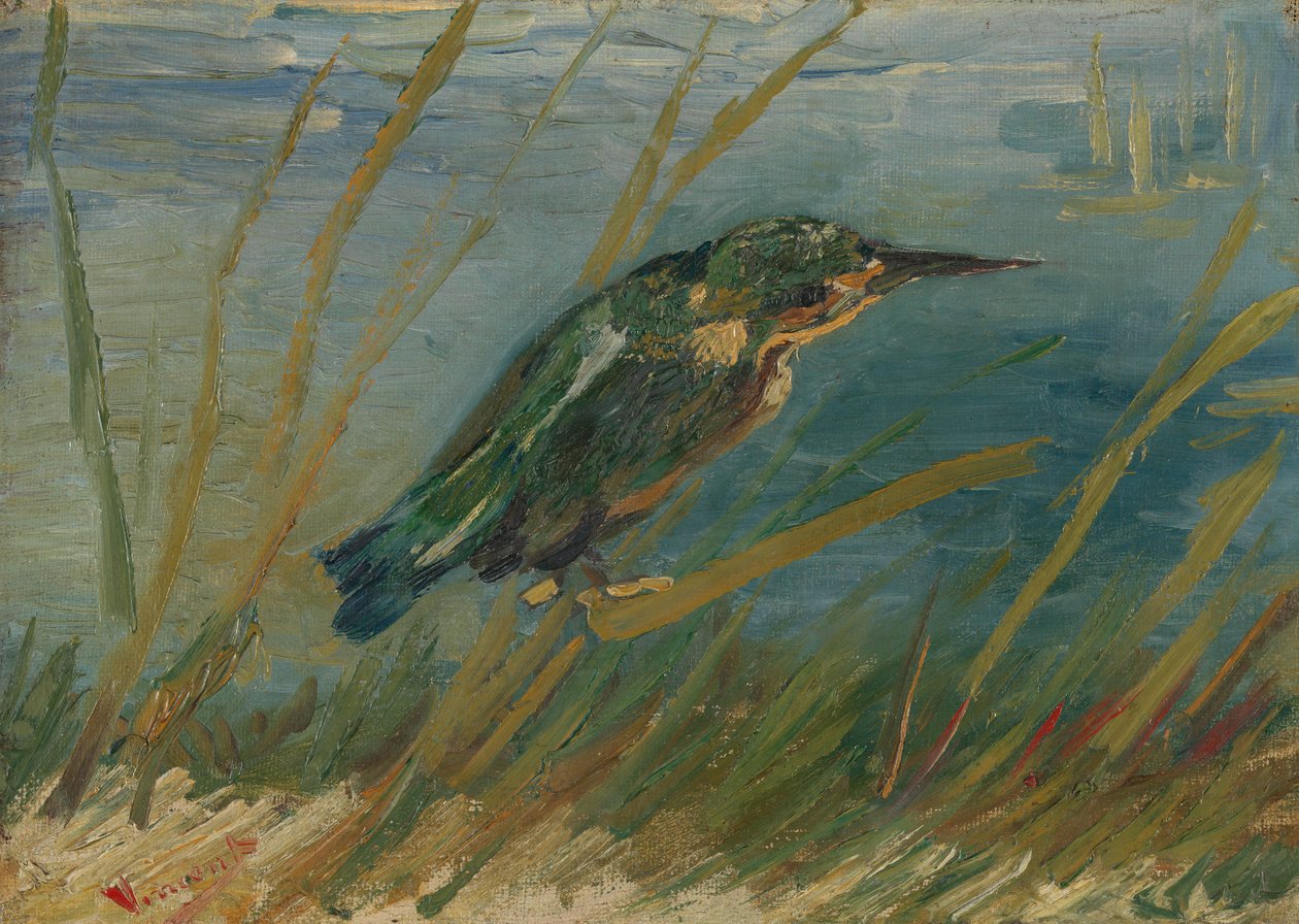 Kingfisher ved vannet av Vincent van Gogh