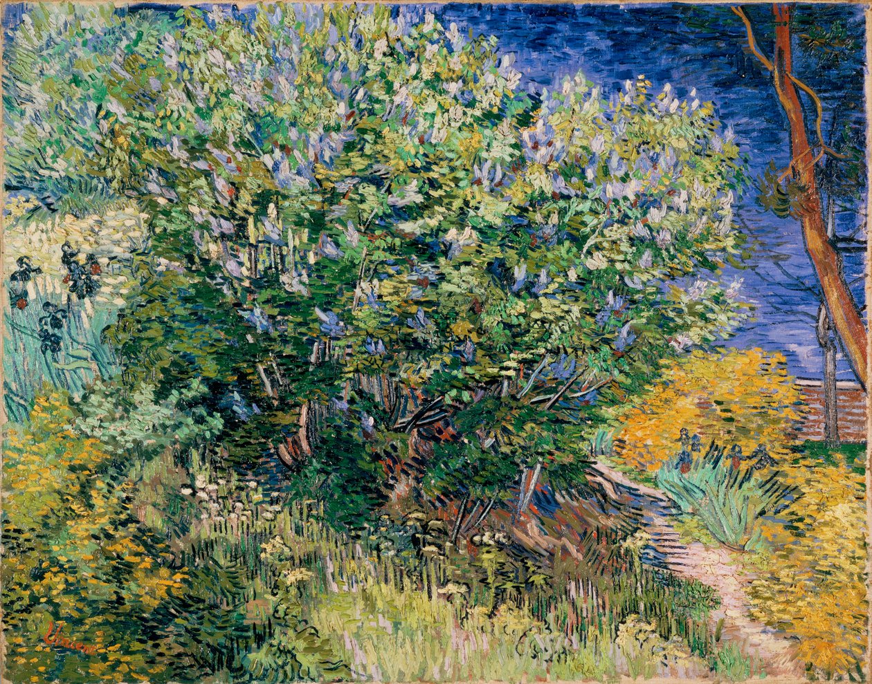Lilac Bush (Lilacs) av Vincent van Gogh