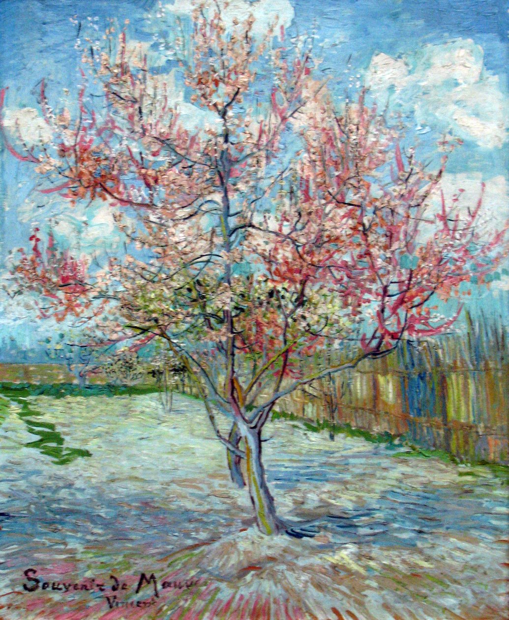 Rosa Pfirsichbäume (Souvenir de Mauve) av Vincent van Gogh