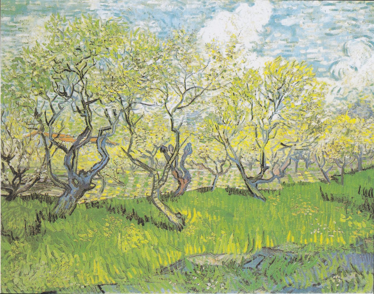 Blomstrende frukthage 3 av Vincent van Gogh