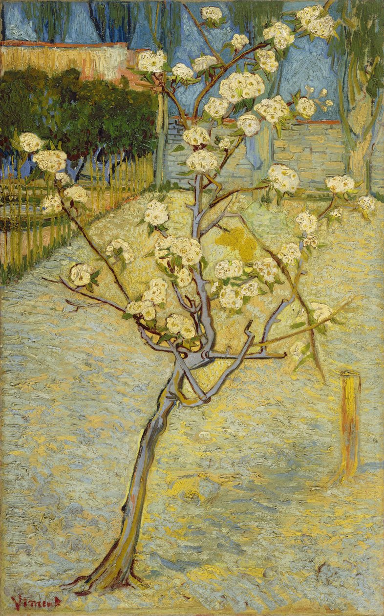 Blomstrende pæretre av Vincent van Gogh